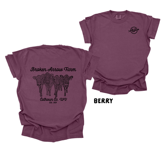 Comfort Color T-shirt Broken Arrow Farm Pre-Order